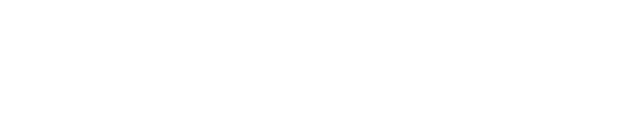 Routii logo